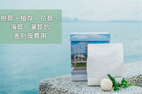 海葬風水|影／環保葬／風水師：樹葬生魂若不安寧 恐影響後代子孫運勢